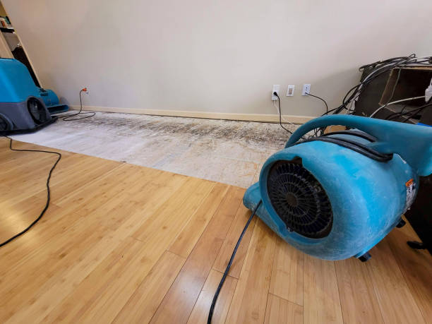 Professional Water Damage Repair technician working in North Chelmsford, MA